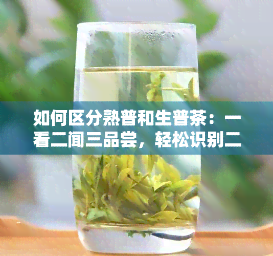 如何区分熟普和生普茶：一看二闻三品尝，轻松识别二者差异