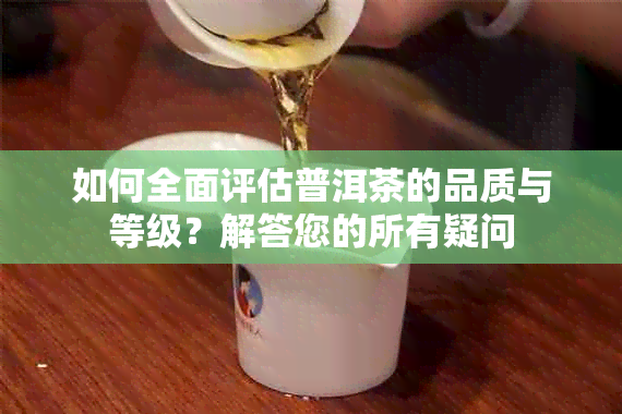 如何全面评估普洱茶的品质与等级？解答您的所有疑问