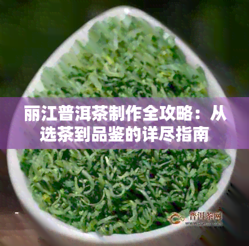 丽江普洱茶制作全攻略：从选茶到品鉴的详尽指南