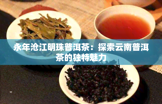 永年沧江明珠普洱茶：探索云南普洱茶的独特魅力