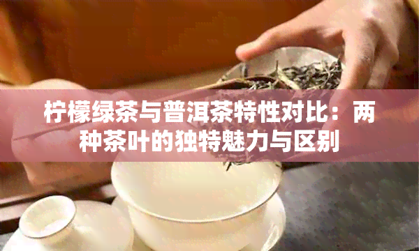 柠檬绿茶与普洱茶特性对比：两种茶叶的独特魅力与区别