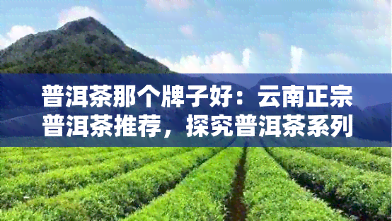 普洱茶那个牌子好：云南正宗普洱茶推荐，探究普洱茶系列