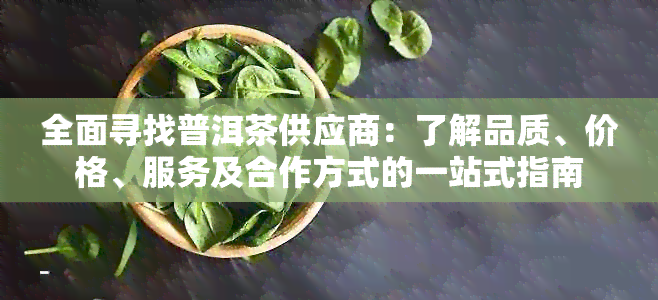 全面寻找普洱茶供应商：了解品质、价格、服务及合作方式的一站式指南