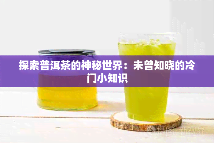 探索普洱茶的神秘世界：未曾知晓的冷门小知识