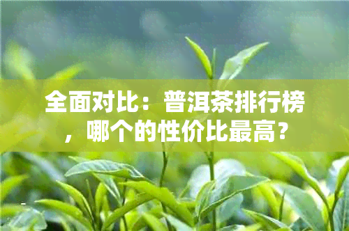 全面对比：普洱茶排行榜，哪个的性价比更高？