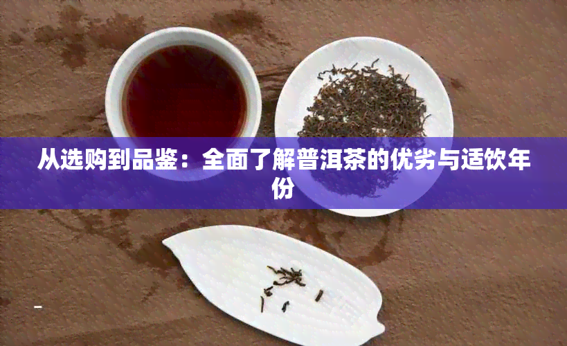 从选购到品鉴：全面了解普洱茶的优劣与适饮年份