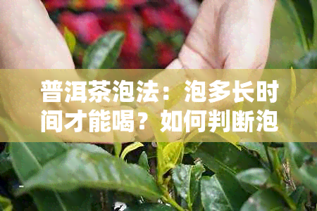 普洱茶泡法：泡多长时间才能喝？如何判断泡好的普洱茶？