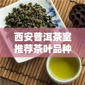 西安普洱茶室推荐茶叶品种与汇总