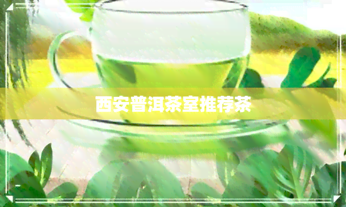 西安普洱茶室推荐茶