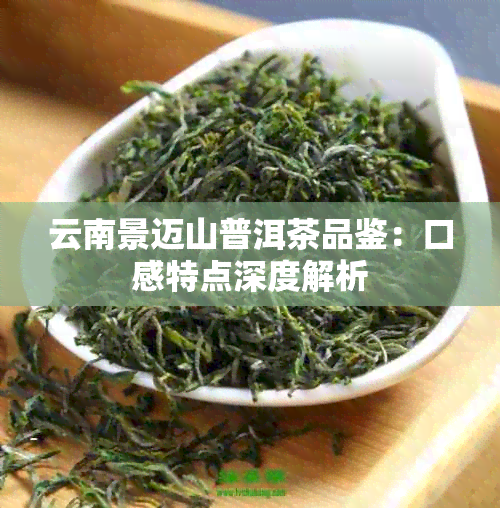 云南景迈山普洱茶品鉴：口感特点深度解析