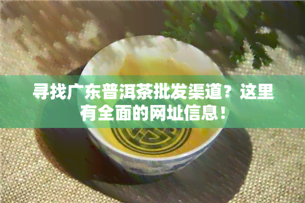 寻找广东普洱茶批发渠道？这里有全面的网址信息！