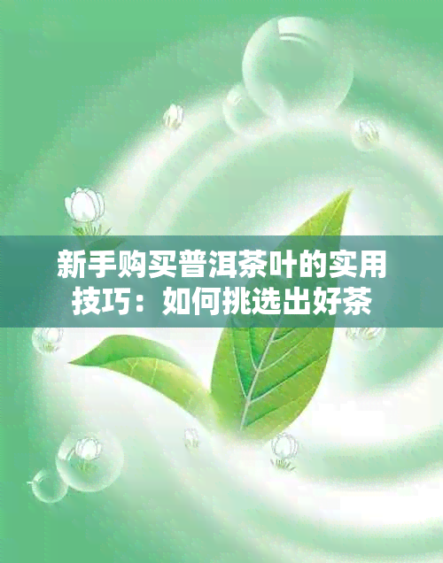 新手购买普洱茶叶的实用技巧：如何挑选出好茶