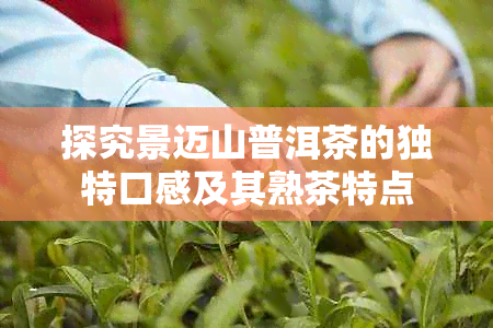 探究景迈山普洱茶的独特口感及其熟茶特点