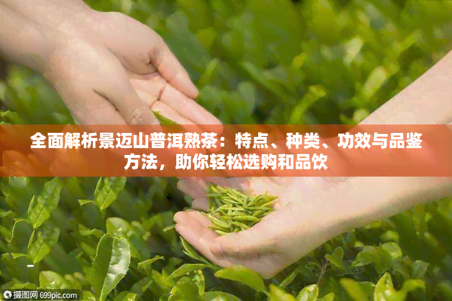 全面解析景迈山普洱熟茶：特点、种类、功效与品鉴方法，助你轻松选购和品饮