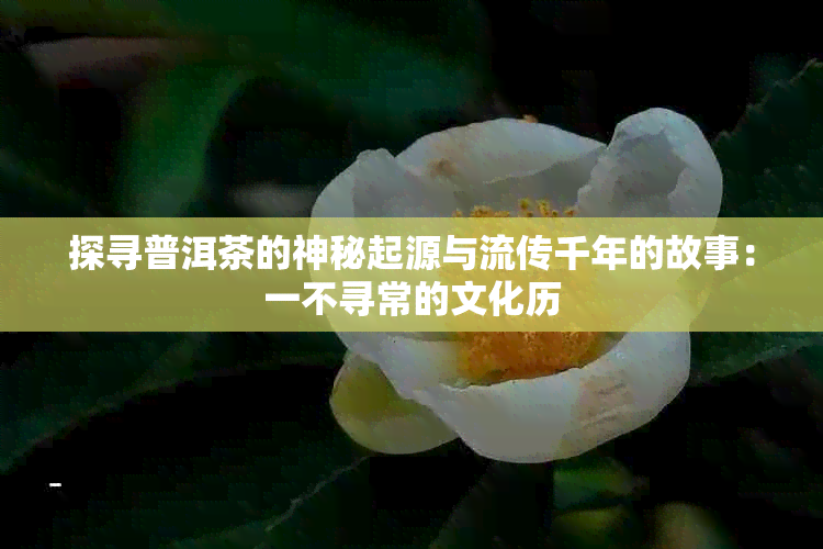 探寻普洱茶的神秘起源与流传千年的故事：一不寻常的文化历