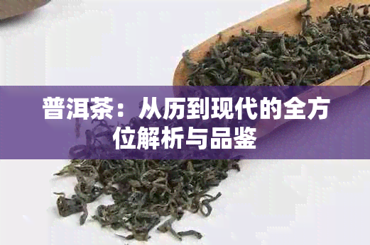 普洱茶：从历到现代的全方位解析与品鉴