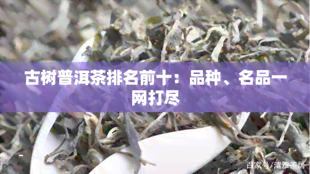 古树普洱茶排名前十：品种、名品一网打尽