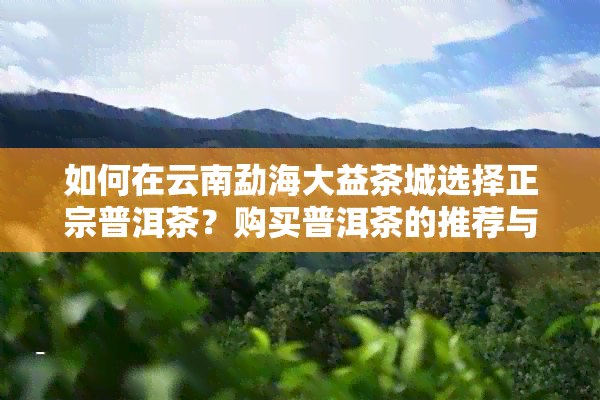 如何在云南勐海大益茶城选择正宗普洱茶？购买普洱茶的推荐与考虑因素