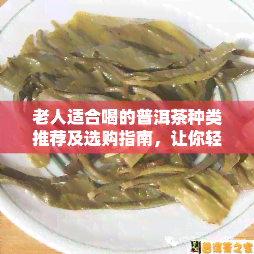 老人适合喝的普洱茶种类推荐及选购指南，让你轻松选到最适合的普洱茶