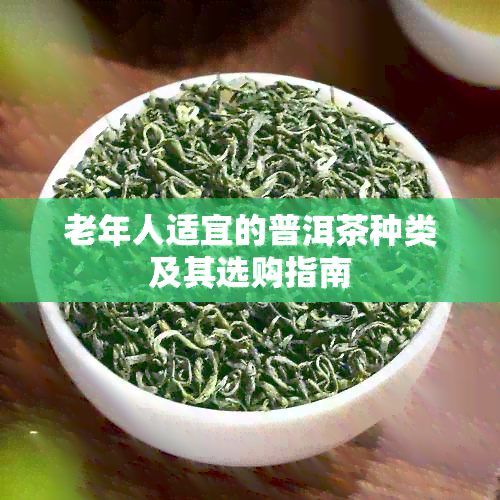 老年人适宜的普洱茶种类及其选购指南