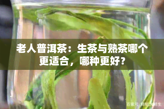 老人普洱茶：生茶与熟茶哪个更适合，哪种更好？