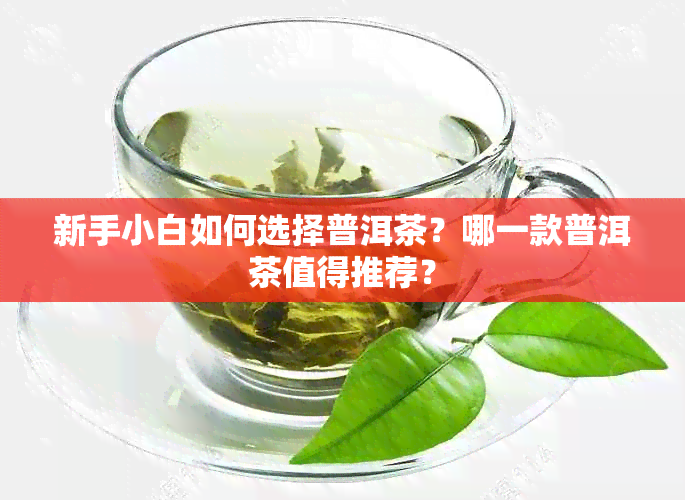 新手小白如何选择普洱茶？哪一款普洱茶值得推荐？