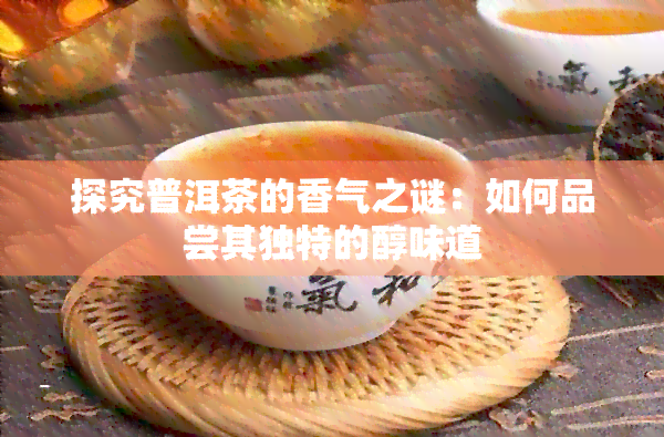 探究普洱茶的香气之谜：如何品尝其独特的醇味道