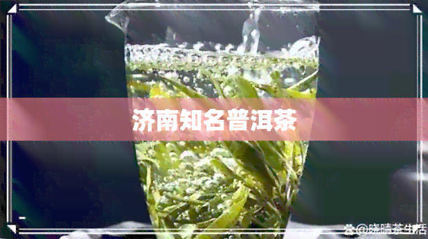 济南知名普洱茶