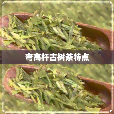 弯高杆古树茶特点