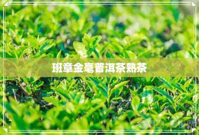 班章金毫普洱茶熟茶