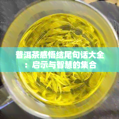 普洱茶感悟结尾句话大全：启示与智慧的 *** 