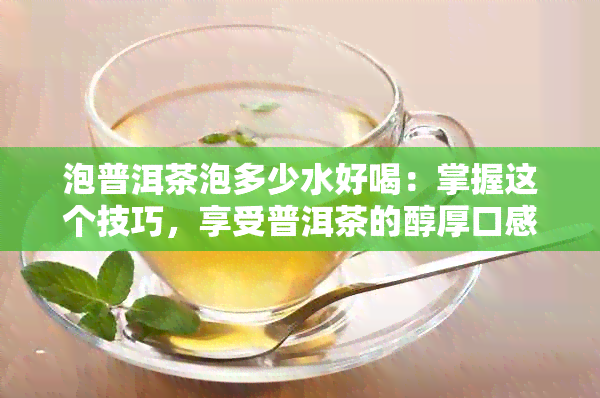 泡普洱茶泡多少水好喝：掌握这个技巧，享受普洱茶的醇厚口感