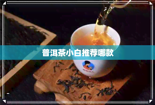 普洱茶小白推荐哪款