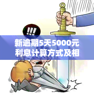 新逾期5天5000元利息计算方式及相关政策解析