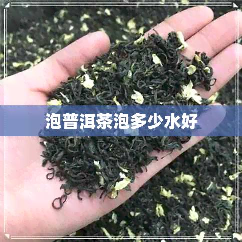 泡普洱茶泡多少水好