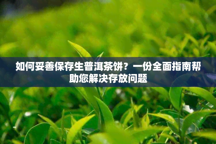 如何妥善保存生普洱茶饼？一份全面指南帮助您解决存放问题