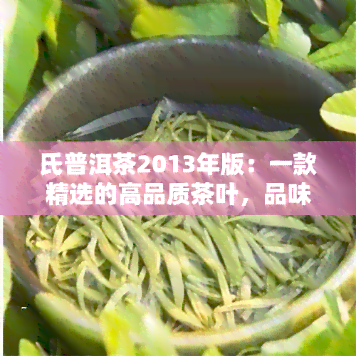 氏普洱茶2013年版：一款精选的高品质茶叶，品味与陈年的完美结合