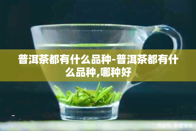 普洱茶都有什么品种-普洱茶都有什么品种,哪种好