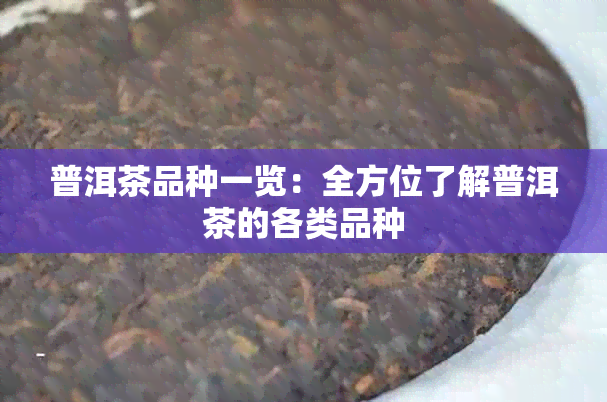 普洱茶品种一览：全方位了解普洱茶的各类品种