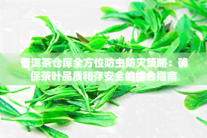 普洱茶仓库全方位防虫防灾策略：确保茶叶品质和存安全的综合指南