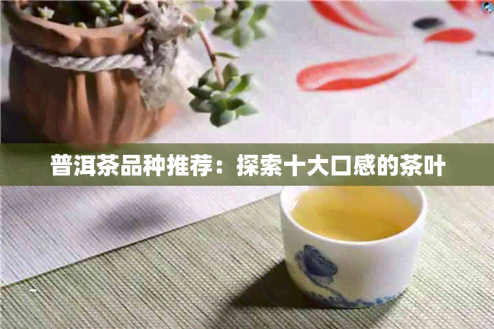 普洱茶品种推荐：探索十大口感的茶叶