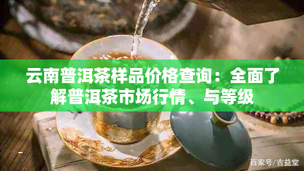 云南普洱茶样品价格查询：全面了解普洱茶市场行情、与等级