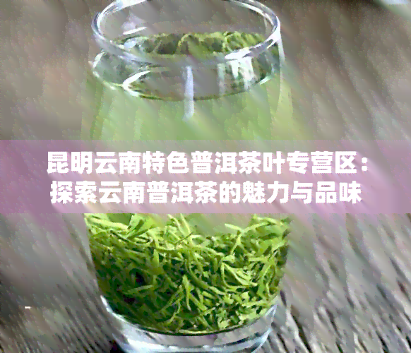 昆明云南特色普洱茶叶专营区：探索云南普洱茶的魅力与品味