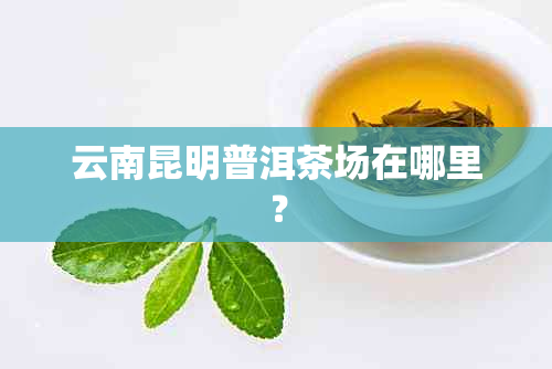 云南昆明普洱茶场在哪里？