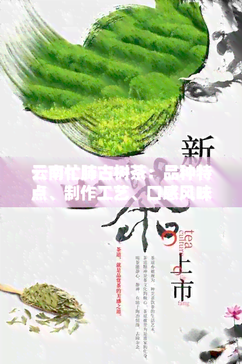 云南忙肺古树茶：品种特点、制作工艺、口感风味及选购技巧全面解析