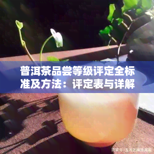 普洱茶品尝等级评定全标准及方法：评定表与详解