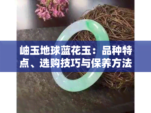 岫玉地球蓝花玉：品种特点、选购技巧与保养方法全面解析