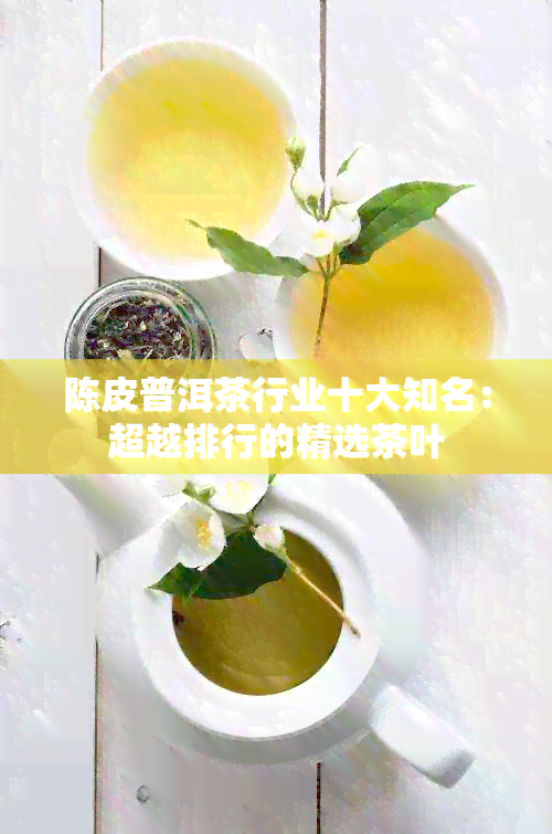 陈皮普洱茶行业十大知名：超越排行的精选茶叶