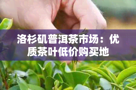 洛杉矶普洱茶市场：优质茶叶低价购买地