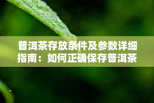 普洱茶存放条件及参数详细指南：如何正确保存普洱茶以保持其品质和口感？